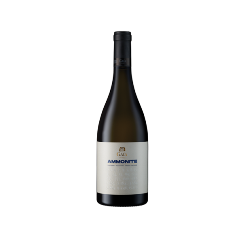 Λευκό Κρασί Ξηρό AMMONITE – Gaia Wines